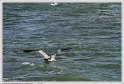 Boucau_25_02_10_04