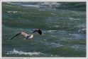 Boucau_25_02_10_05