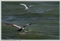 Boucau_25_02_10_06