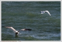 Boucau_25_02_10_08
