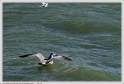 Boucau_25_02_10_09