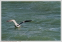 Boucau_25_02_10_10