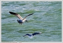 Boucau_25_02_10_11