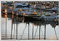IMG_2409_1_P