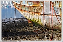 IMG_2476_P