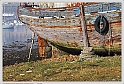 IMG_2493_P