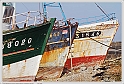 IMG_2498_P