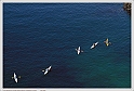 IMG_2530_P