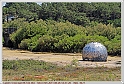 IMG_5477