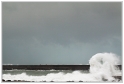 LaBarre_04_11_09_03