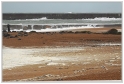 LaBarre_04_11_09_09