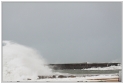 LaBarre_04_11_09_11