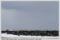 La_Barre_19_07_11_07