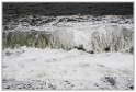 Labarre_01_12_09_05