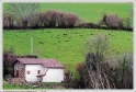 Mardi_23_02_10_04