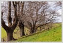 Mardi_23_02_10_06