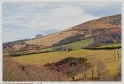 Mardi_23_02_10_08