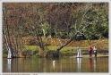 Mouriscot_19_02_10_02