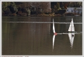 Mouriscot_19_02_10_03