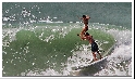 Roxy1
